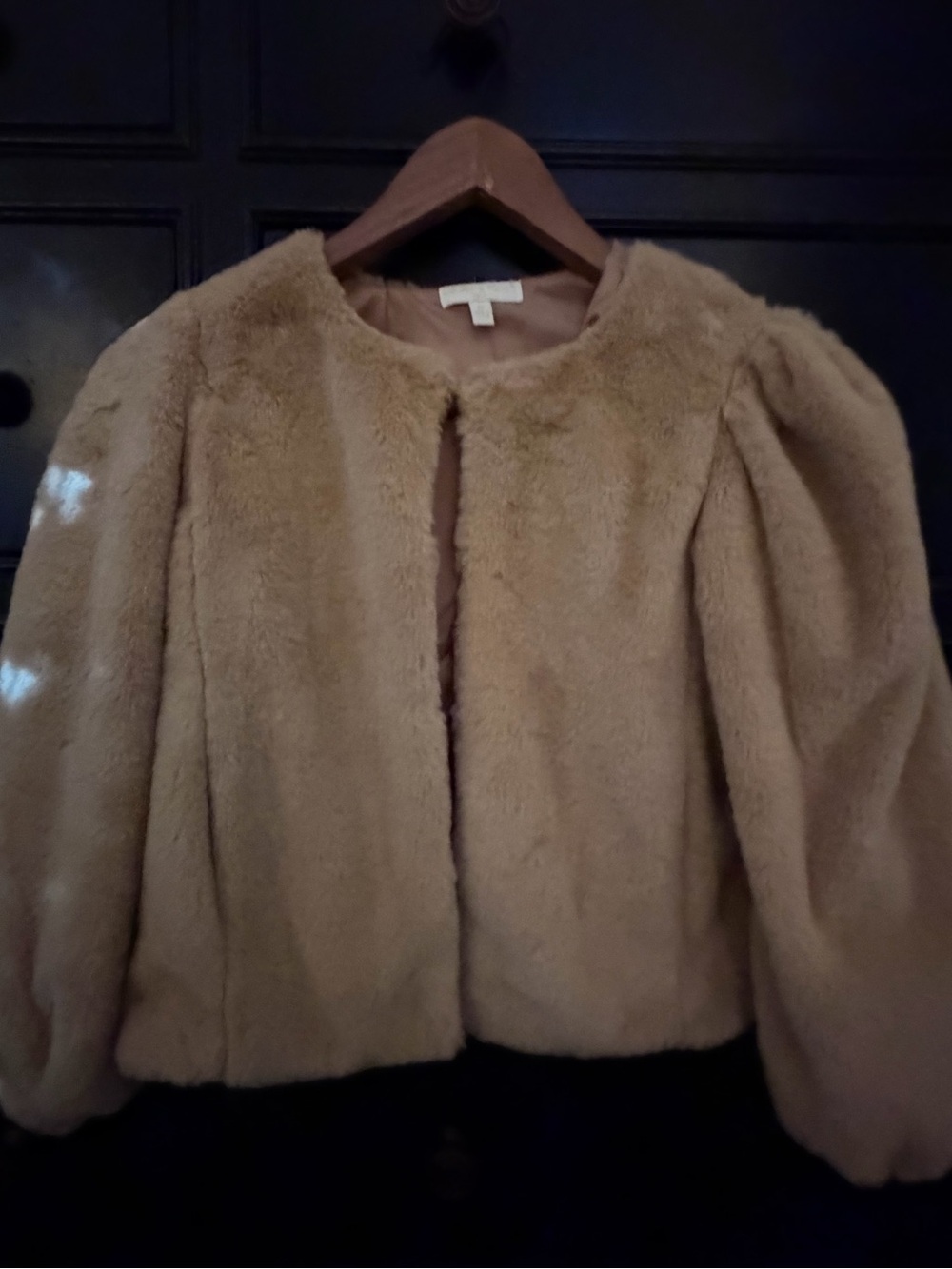 Chelsea & Violet Plush Teddy Jacket in Camel Brown